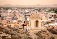 Nueva construcción  - Adosados - Cox