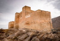 Nueva construcción  - Adosados - Cox