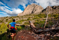 Nueva construcción  - Adosados - Finestrat