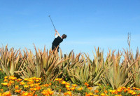 Nueva construcción  - Apartamentos - Cuevas Del Almanzora - Desert Springs Resort