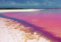 Nueva construcción  - Apartamentos - Los Balcones