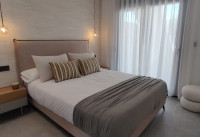 Nueva construcción  - Apartamentos - Pilar de la Horadada
