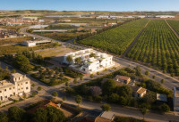 Nueva construcción  - Apartamentos - Pilar de la Horadada