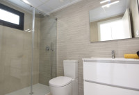 Nueva construcción  - Apartamentos - San Miguel de Salinas