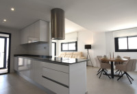 Nueva construcción  - Apartamentos - San Miguel de Salinas