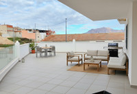 Nueva construcción  - Penthouses - Bigastro