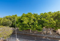 Nueva construcción  - Villas - Mil Palmeras - Urb. Mil Palmeras