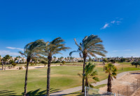 Nueva construcción  - Villas - Pilar de la Horadada