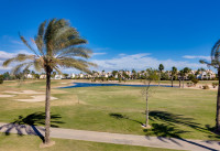 Nueva construcción  - Villas - Pilar de la Horadada