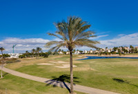 Nueva construcción  - Villas - Pilar de la Horadada