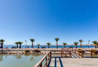 Nueva construcción  - Villas - Pilar de la Horadada
