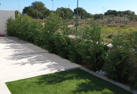 Nueva construcción  - Villas - Pilar de la Horadada