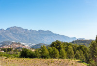 Nueva construcción  - Villas - Polop