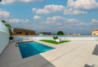 Nueva construcción  - Villas - Rojales