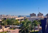 Reventa - Apartamentos - Mil Palmeras - Urb. Mil Palmeras