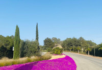 Reventa - Villas - Las Colinas Golf - Las Colinas