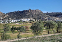 Revente - Appartements - Monforte del Cid