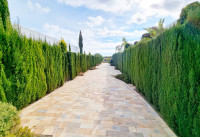 Revente - Villas - Las Colinas Golf - Las Colinas