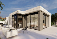 Villas - Neubau Immobilien - Pilar de la Horadada - HD1228