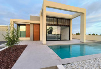 Villas - Nueva construcción  - Ciudad Quesada - HD1361
