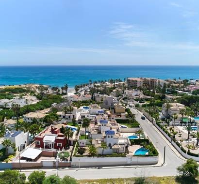 Playa Flamenca