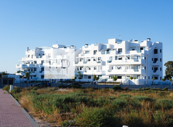 New Build - Apartments - Torre Pacheco - Santa Rosalia Lake & Life Resort