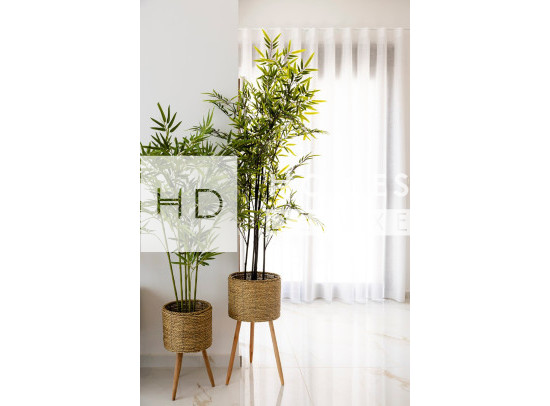 Neubau Immobilien - Villas - Polop