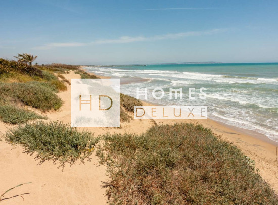 New Build - Apartments - Guardamar del Segura - Guardamar Playa