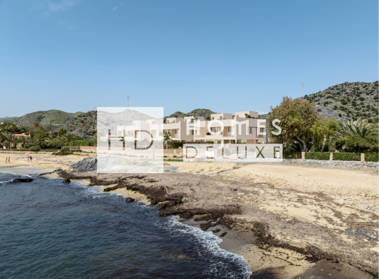 Nieuw Gebouw - Villas - Cuevas Del Almanzora - Calapanizo