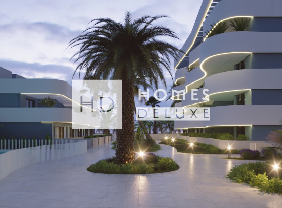 Nouveau bâtiment - Maisons de ville - Guardamar del Segura - El Raso