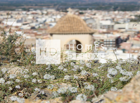 Nouveau bâtiment - Maisons de ville - Cox