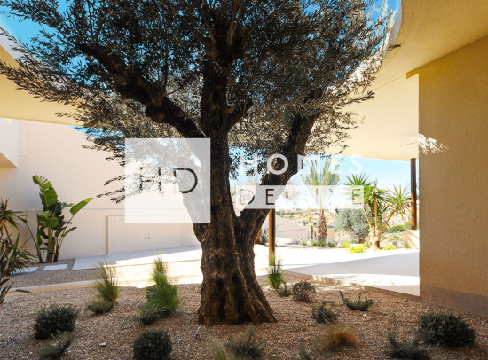Neubau Immobilien - Villas - La Marina