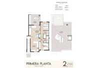 Nouveau bâtiment - Appartements - San Miguel de Salinas